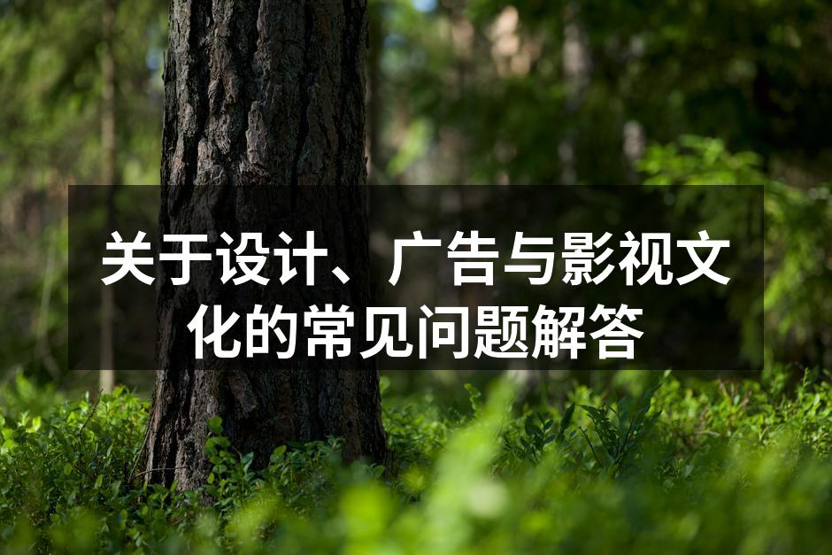 设计流程示意图